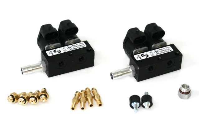 RAIL Injektor LPG CNG IG1 2x2 Zylinder (BOXER) BLACK BODY 3 Ohm (alte Version)
