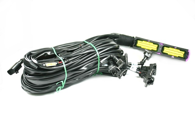 Landi Renzo Omegas 5/6/8 cylinder wiring harness