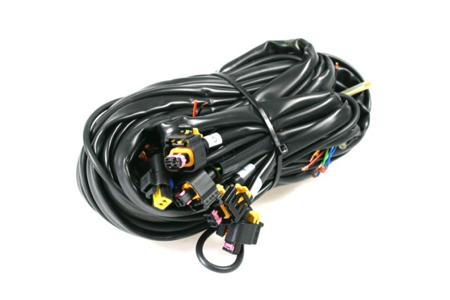Landi Renzo EVO12 - 3/4 Zylinder Kabelbaum