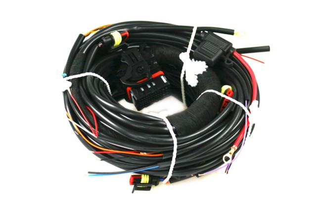 STAG-4 Q-BOX BASIC arnés de cables