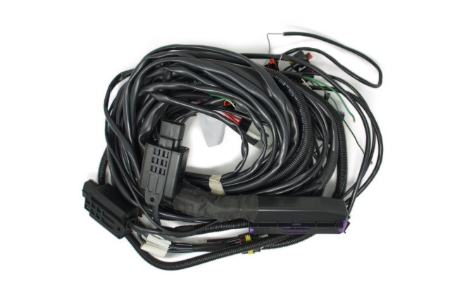 BRC wiring harness Fast Triton V6 (DE516144-2)