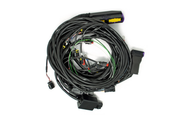 BRC wiring harness Fast VZ Commodore V6 (DE516142-2)