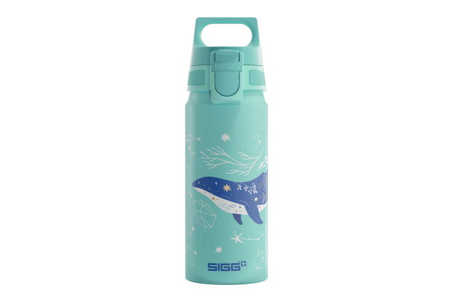 SIGG water bottle Kids WMB ONE Dive 0.6 L