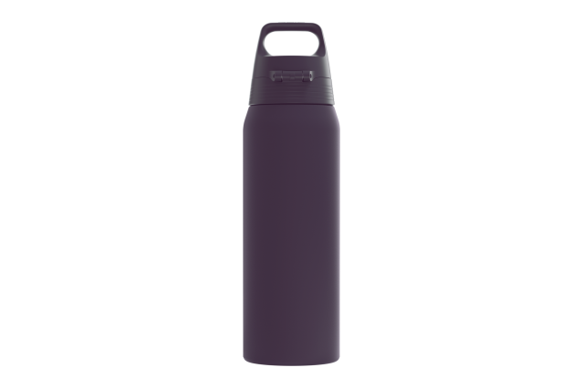 SIGG bouteille deau Shield Therm One Nocturne 0.75 L