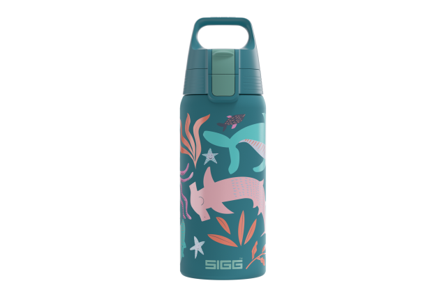 SIGG bouteille deau Kids Shield Therm One Blue World 0.5 L