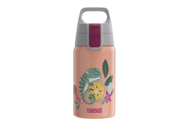 SIGG bouteille deau Kids Shield One Flora 0.5 L