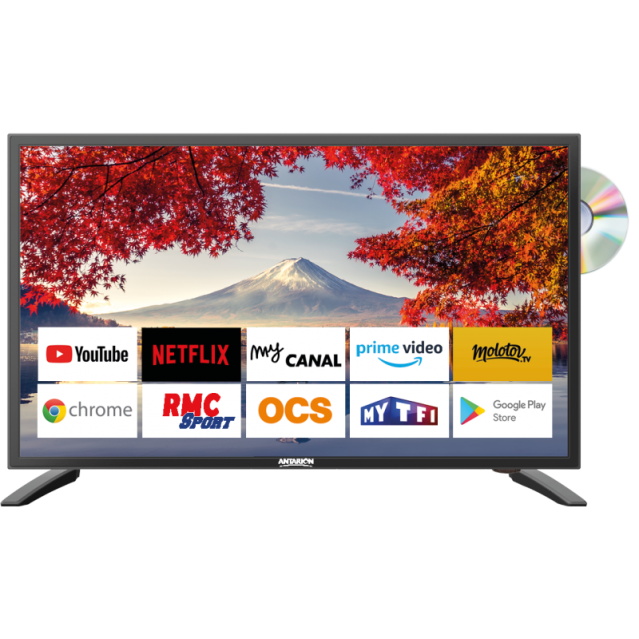 Antarion Smart TV Télévision 19 pouces DVBT-2 +DVD 12 / 24 / 220 V