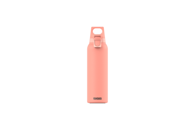 SIGG Bouteilles deau Thermo Hot & Cold ONE Light Shy Pink 0.55 L