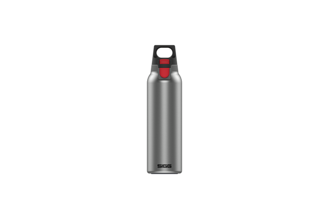 SIGG Bouteilles deau Thermo Hot & Cold ONE Light Brushed 0.55 L