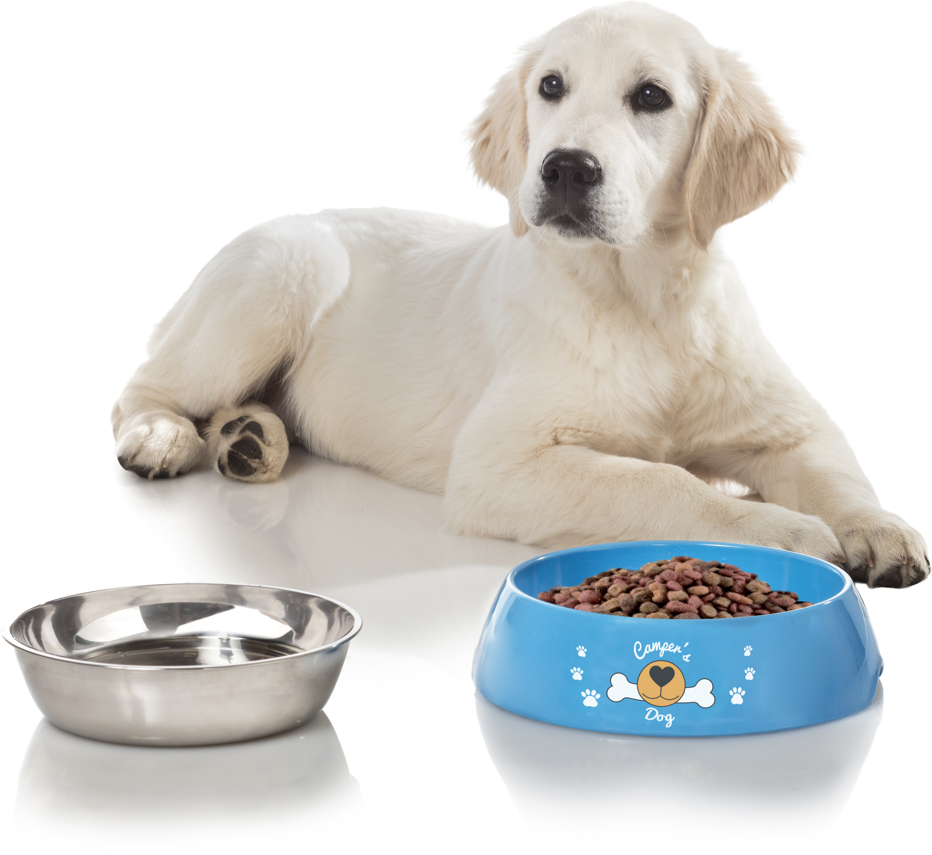BRUNNER® Hungry XL Hundeschüssel Blau