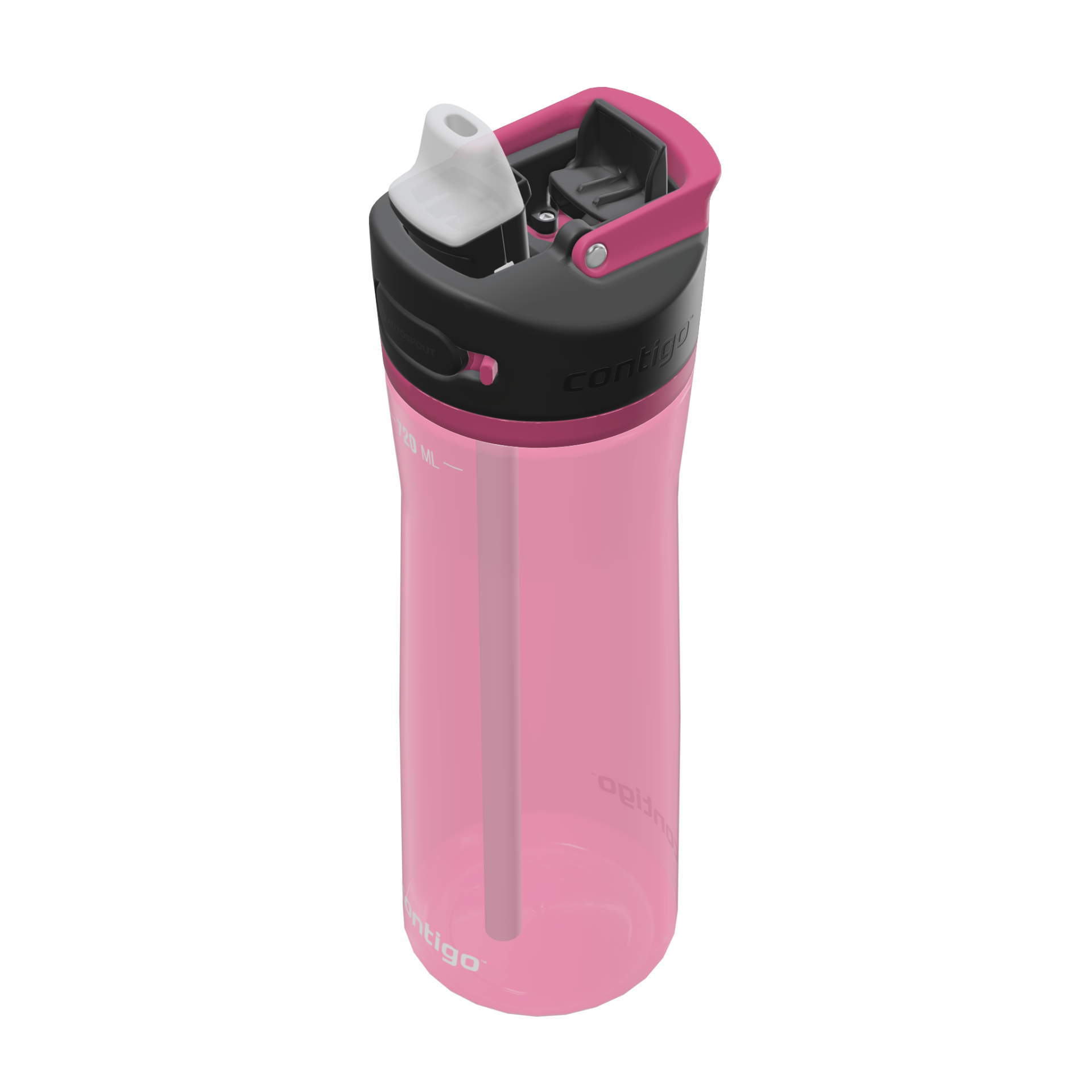 contigo® Ashland 2.0 Borraccia da 720 ml, rosa