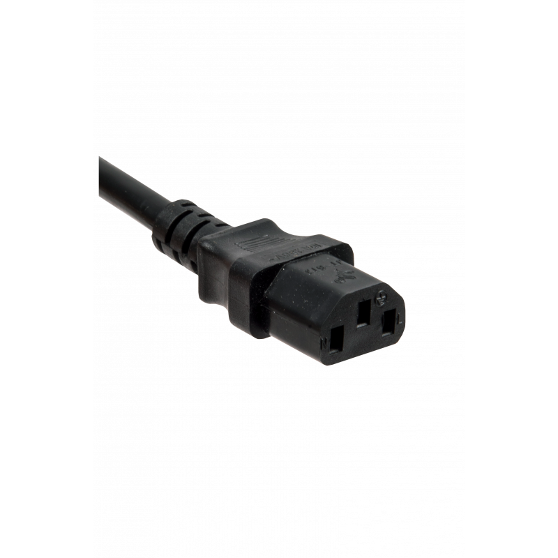 Inverter Antarion, inverter 1000 W