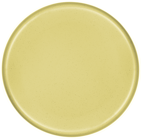 BRUNNER® Stone Touch Essteller