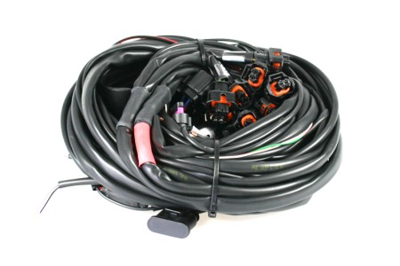 Landi Renzo Omegas 3.0 - 5/8 cylinder wiring harness