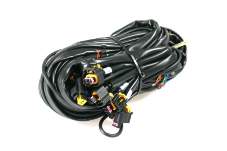 Landi Renzo EVO12 - 3/4 Zylinder Kabelbaum