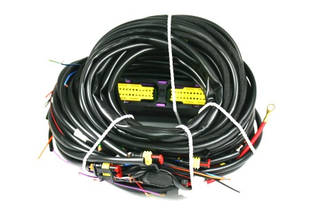 Landi Renzo Omegas 3/4 cylinder wiring harness for OBD ECU 616467000 (connectors MED GI25)