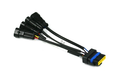 Cable adaptador EVG (Valtek, MED, PAN, Lovato, Rail) a Matrix (set de 4 cilindros)
