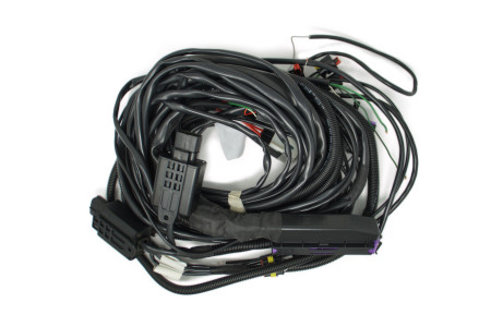 BRC wiring harness Fast Triton V6 (DE516144-2)