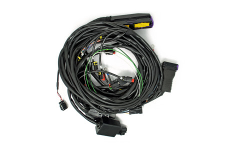 BRC wiring harness Fast VZ Commodore V6 (DE516142-2)