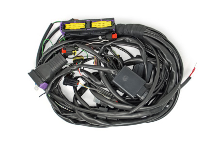 BRC wiring harness Fast VZ Commodore V6 (DE516142-2)