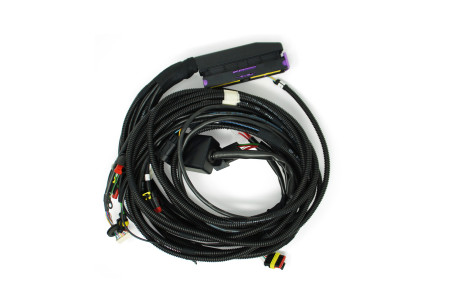 BRC wiring harness Fast Mitsubishi Express 4c (DE516145-1)