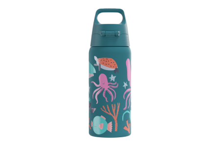 SIGG bouteille deau Kids Shield Therm One Blue World 0.5 L