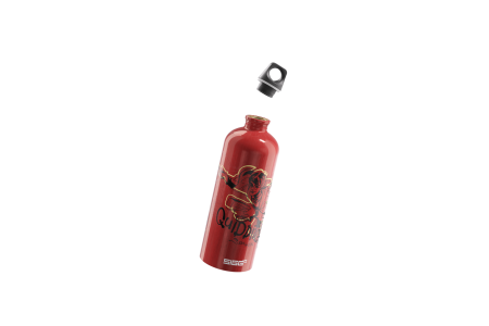 SIGG cantimplora Quidditch 1.0 L