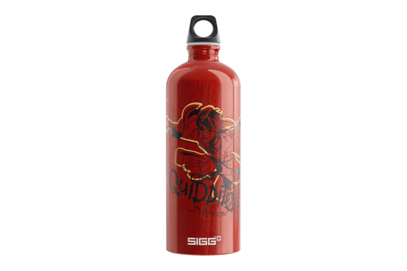 SIGG cantimplora Quidditch 1.0 L