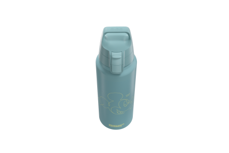 SIGG bouteille deau Kids Mickey Mouse Lines 1.0 L