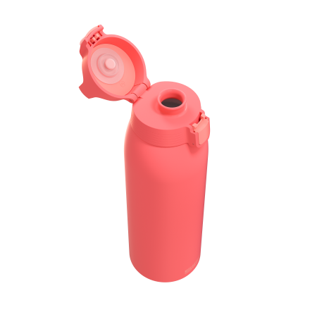 SIGG Borraccia termica Shield Therm ONE Watermelon 1 L