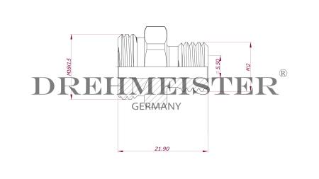 DREHMEISTER Edelstahl-Adapter M16x1.5 auf M12x1,75 mit O-Ring für LPG Adapter
