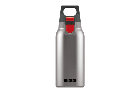 SIGG Thermo Trinkflasche Hot & Cold ONE Brushed 0.3 L