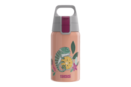 SIGG bouteille deau Kids Shield One Flora 0.5 L