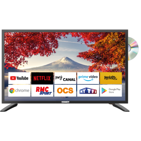 Antarion Smart TV 19 inch DVBT-2 +DVD 12 / 24 / 220 V