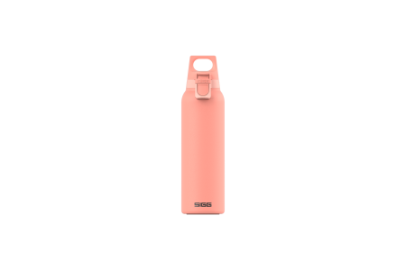 SIGG Bouteilles deau Thermo Hot & Cold ONE Light Shy Pink 0.55 L