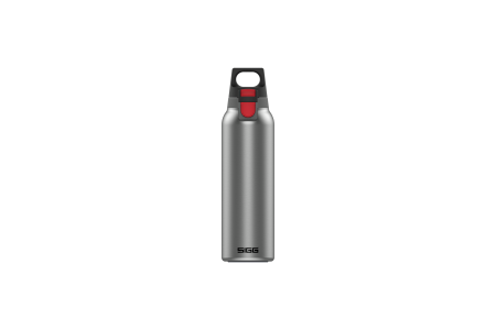 SIGG Bouteilles deau Thermo Hot & Cold ONE Light Brushed 0.55 L